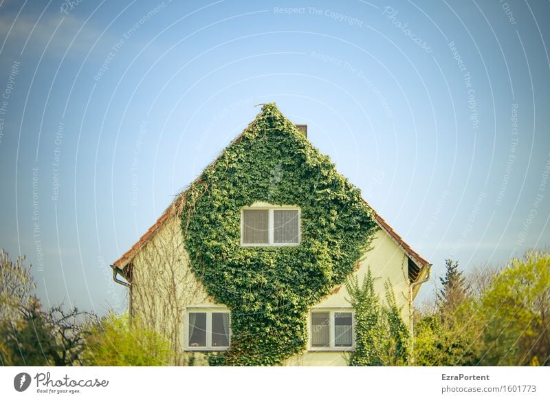 ein Familienhaus Natur Landschaft Pflanze Himmel Wolkenloser Himmel Frühling Klima Baum Sträucher Efeu Blatt Haus Einfamilienhaus Bauwerk Gebäude Architektur