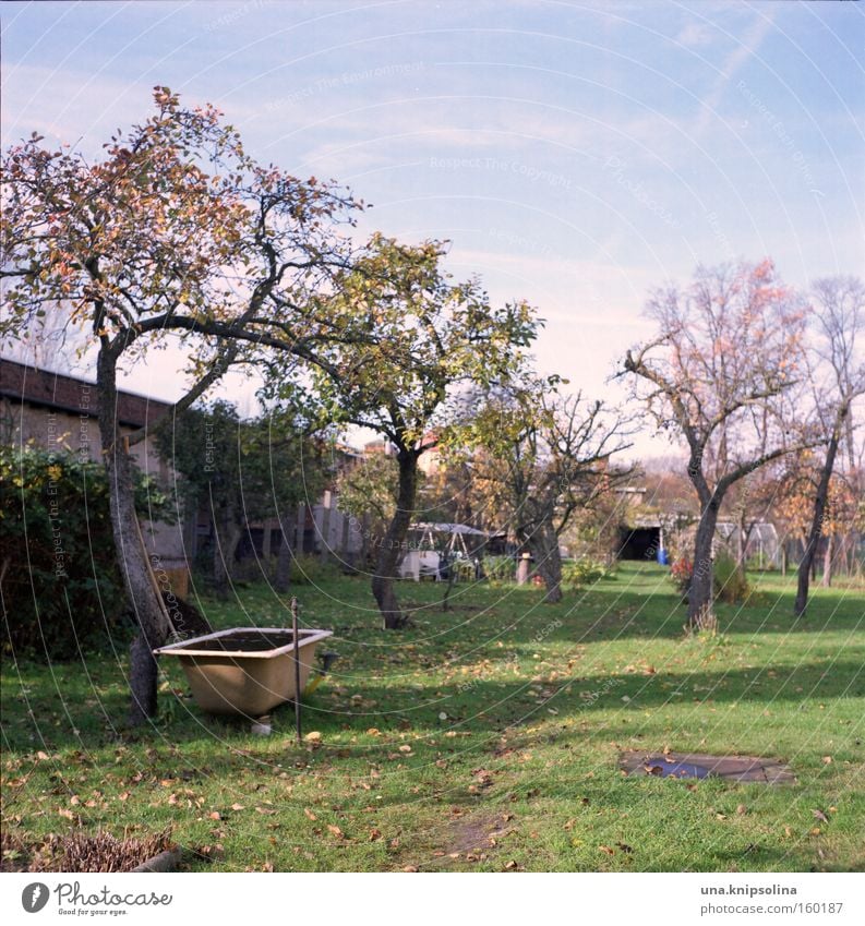 pool Erholung Freizeit & Hobby Garten Badewanne Schwimmbad Baum Gras blau grün Schrebergarten Gärtner Farbfoto Außenaufnahme