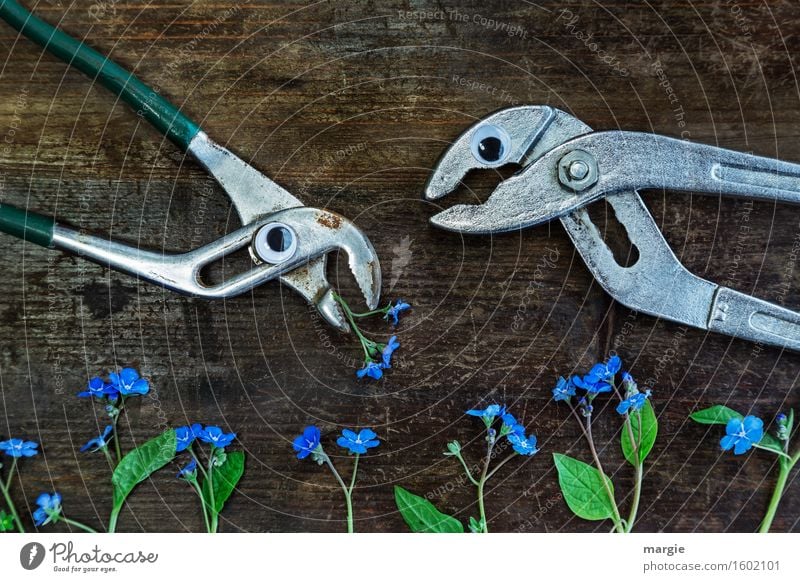 Denkst du gerade das gleiche wie ich? Zwei Zangen mit Augen und viele Vergissmeinnicht - Blüten auf einem alten Holztisch Handwerker Gartenarbeit Arbeitsplatz