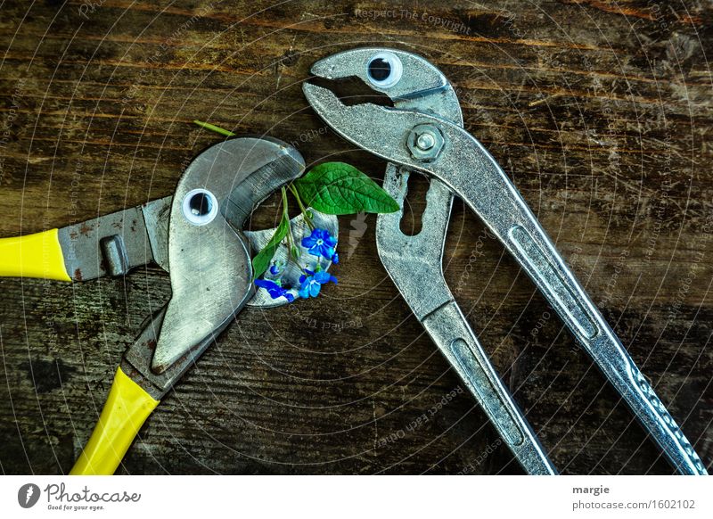 Ich kann dich nicht vergessen! Zwei Zangen mit Augen auf einem Holztisch mit Vergissmeinnicht - Blumen Arbeit & Erwerbstätigkeit Beruf Handwerker Arbeitsplatz