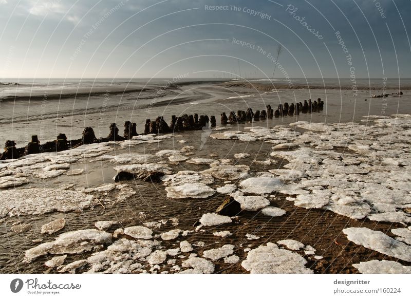 Tausend Watt Meer Nordsee Wattenmeer Winter Buhne Holzpfahl Schlick Sand Ebbe Gezeiten Flut Wassermassen Eis Eisscholle kalt Fahrwasser gestrandet Grundbesitz