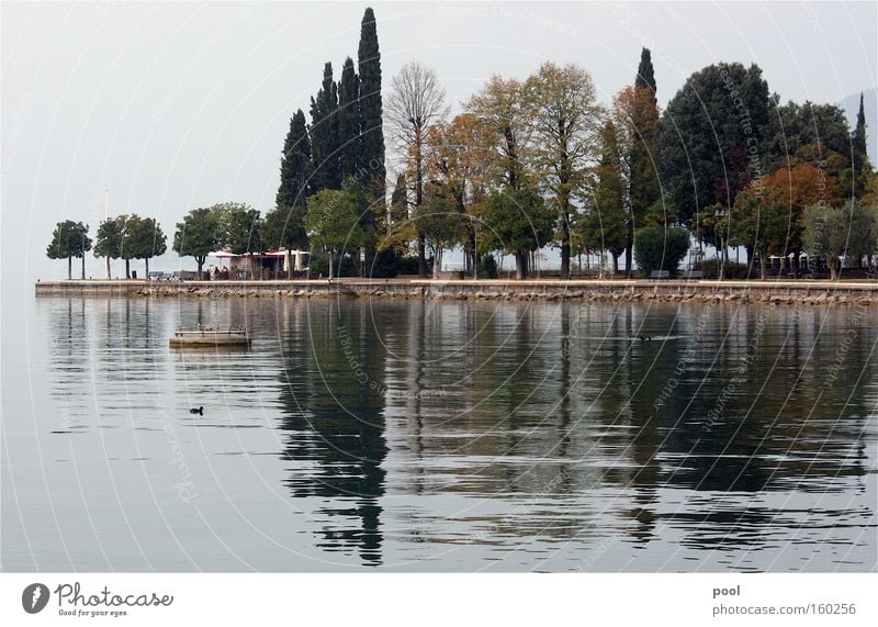 Lago di Garda Gardasee Reflexion & Spiegelung Wasser Wellen Nebel Morgen Landzunge Bardolino Herbst Landschaft See Baum Seeufer Italien