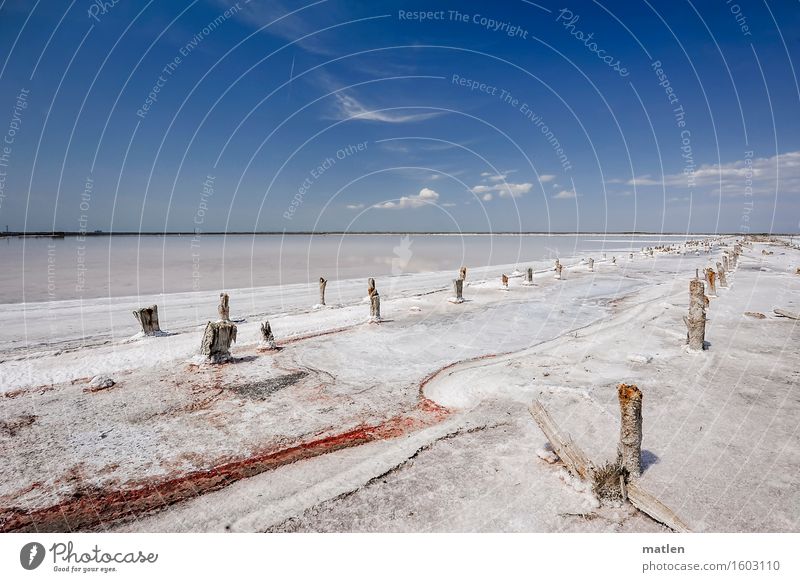 Salz Umwelt Natur Landschaft Wolkenloser Himmel Horizont Sonne Sonnenlicht Sommer Wetter Schönes Wetter Meer Menschenleer blau rot weiß Krim Farbfoto