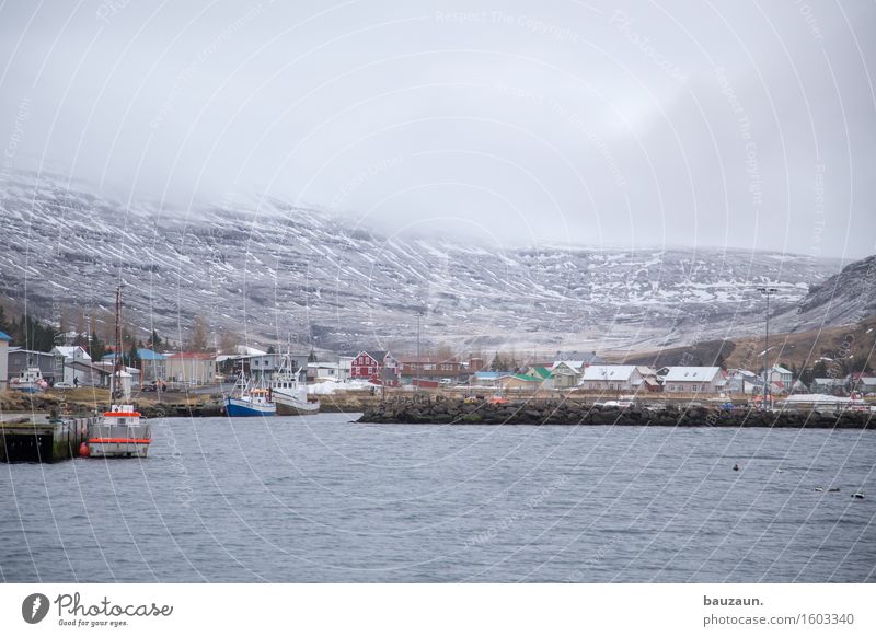 seydisfjördur. Ferien & Urlaub & Reisen Tourismus Ausflug Abenteuer Ferne Freiheit Sightseeing Kreuzfahrt Winter Umwelt Natur Wasser Wolken Eis Frost Schnee