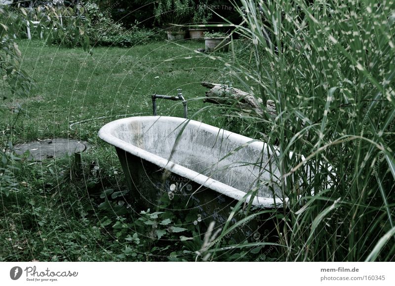 vollbad ohne schaum Badewanne Garten verwildert dreckig Wellness Wasser Bewässerung trocken Sauberkeit