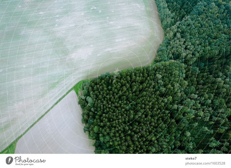 Oben Feld Wald fliegen hoch oben braun grün Höhenangst Ballonfahrt Waldrand Feldrand liniert Strukturen & Formen Luftaufnahme Menschenleer Textfreiraum links