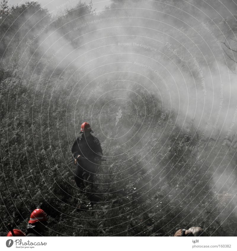 [x] Holzkohle Zerstörung grau-rot Feuerwehreinsatz Öffentlicher Dienst Angst Panik Brennstoff löschen Wasser Alarm Rauch brandrodung ackerlandgewinnung Wärme