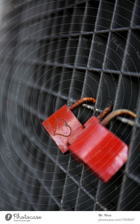 ut köln | amore Zeichen rot Herz Schloss Gitter Metall Rost Liebe Zusammensein Liebeserklärung Gefühle Glück Schutz Sicherheit Verliebtheit Zuneigung