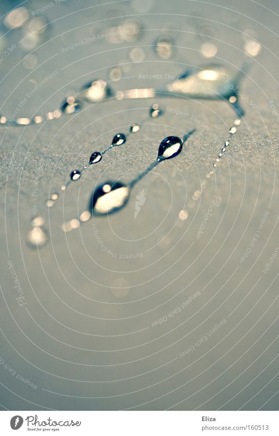 Tropfengebilde Wassertropfen glänzend edel Reflexion & Spiegelung Licht kalt Schmuck Tau Makroaufnahme Nahaufnahme Menschenleer Textfreiraum unten