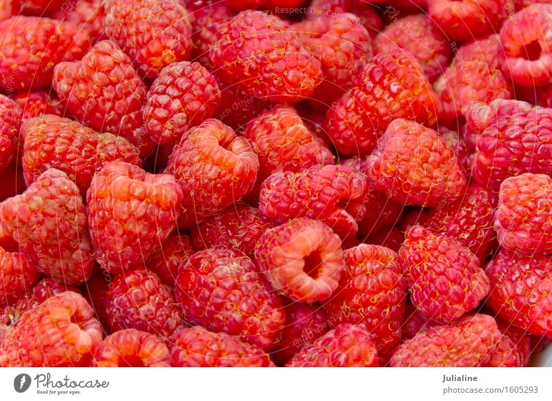 Frische rote Himbeere des Hintergrundes Vegetarische Ernährung frisch Himbeeren süß Beeren Lebensmittel Gesundheit roh organisch Gartenmaterial Farbfoto