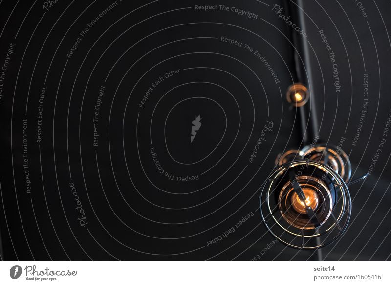 Licht im Dunkel. Lampe. Glühbirne. Schwarzer Hintergrund. Beleuchtung Elektrizität Energiewirtschaft Erkenntnis Idee schwarz Decke Hintergrundbild Textfreiraum
