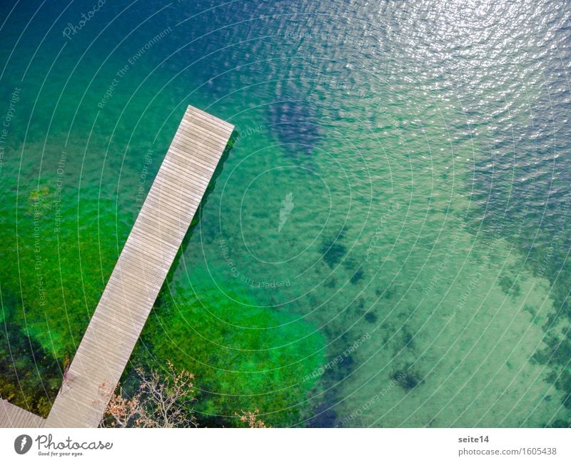 See / Lake. Badesteg, Steg. Luftaufnahme, Drohne. Wellness harmonisch Erholung ruhig Schwimmen & Baden Freizeit & Hobby Angeln Ferien & Urlaub & Reisen Ausflug