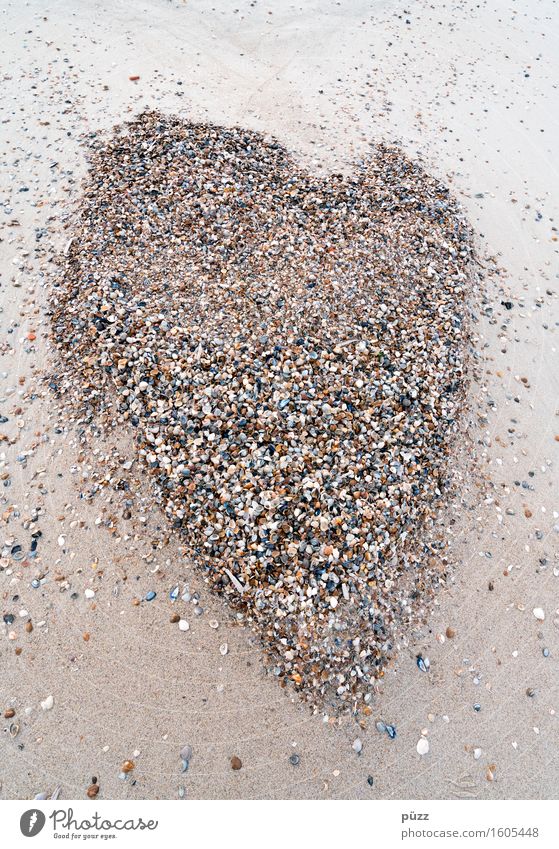 Muschelherz Ferien & Urlaub & Reisen Sommer Sommerurlaub Strand Umwelt Natur Tier Urelemente Erde Sand Küste Nordsee Zeichen Herz klein braun Liebe Verliebtheit