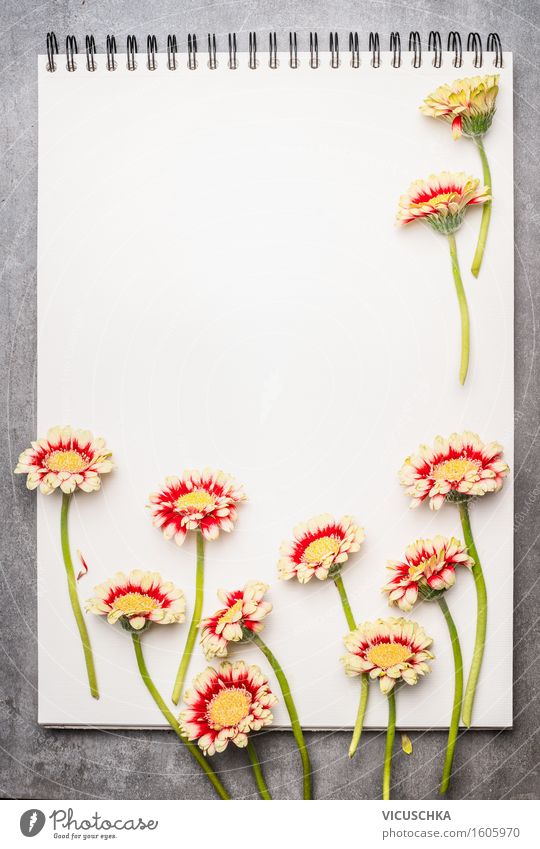 Notizbuch mit schönen Blumen Stil Design Leben Garten lernen Gartenarbeit Büro Business Pflanze Blatt Blüte Papier Zettel Zeichen retro Gerbera Zeitschrift