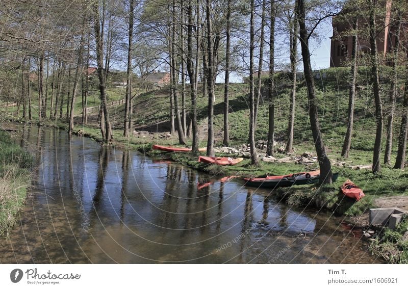 Paddeln Freizeit & Hobby Ferien & Urlaub & Reisen Ausflug Abenteuer Freiheit Camping Sommer Flussufer Drawa Dorf Polen Bach Mai Kanu Ruderboot Farbfoto