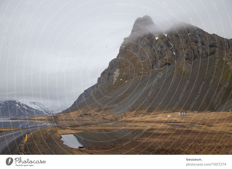 vögel. Ferien & Urlaub & Reisen Tourismus Ausflug Abenteuer Ferne Freiheit Expedition Winter Schnee Umwelt Natur Landschaft Urelemente Erde Wasser Wolken Klima