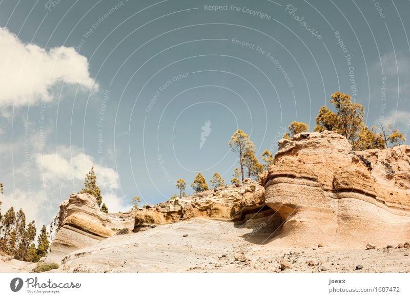 Paisaje Lunar Landschaft Himmel Wolken Sommer Schönes Wetter Hügel Felsen Insel Teneriffa groß natürlich blau braun grün weiß Farbfoto Gedeckte Farben