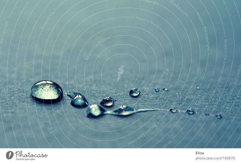 Tropfen schön Wasser Wassertropfen Schmuck glänzend kalt edel Tau Hintergrundbild frisch Wellness fein Detailaufnahme Reflexion & Spiegelung blau Reinheit rein