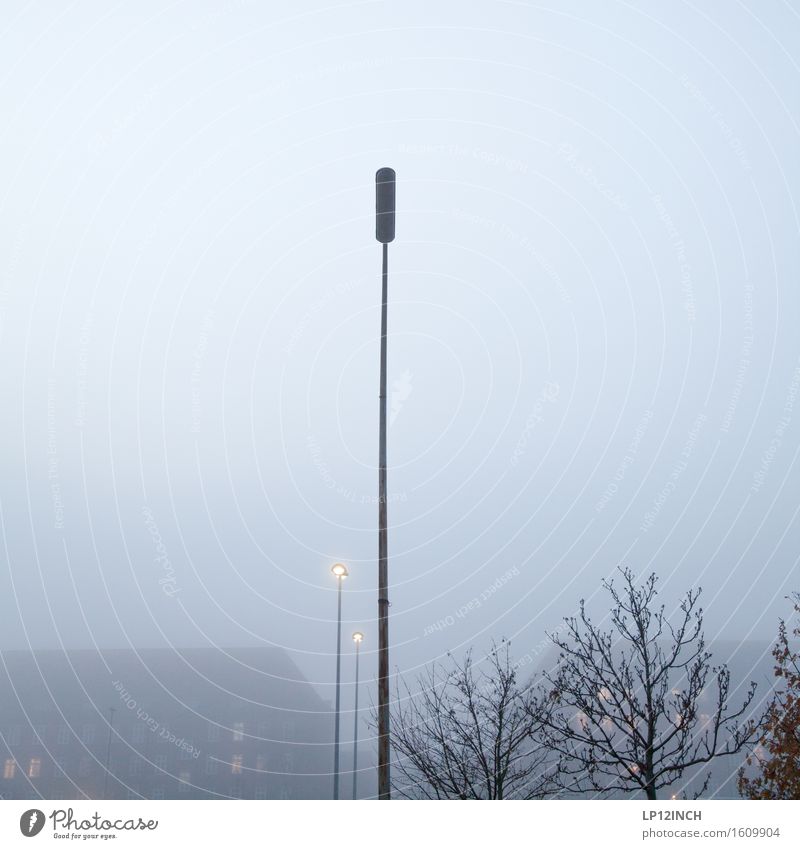 I Umwelt Pflanze Himmel schlechtes Wetter Baum Gebäude Mauer Wand Fenster Häusliches Leben kaputt retro Stadt Angst Erwartung stagnierend Stimmung