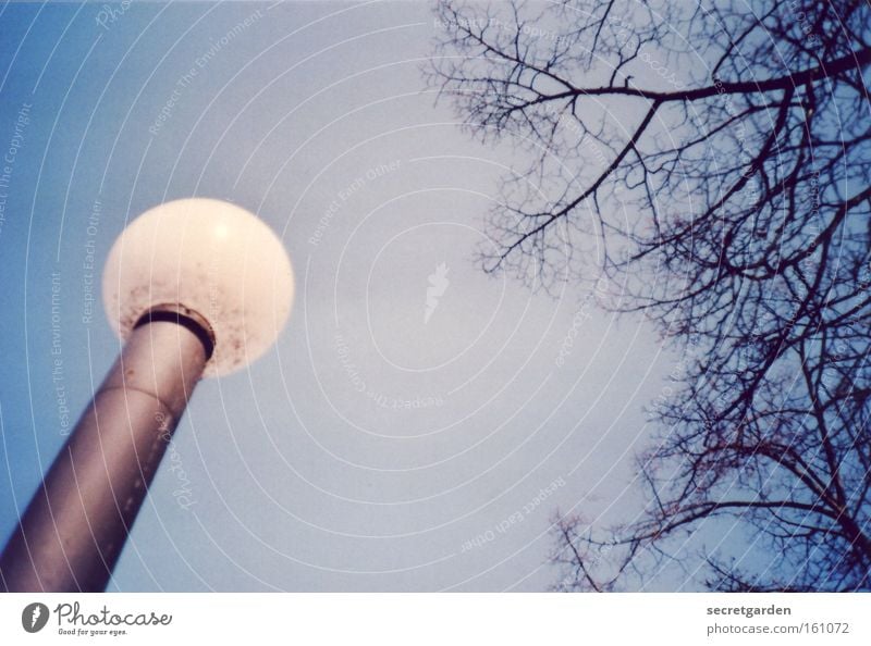 eine leuchte ist sie nicht.... Himmel Ast Baum Natur Froschperspektive Lampe Beleuchtung Laterne Wege & Pfade Park rund UFO Kugel Lomografie alsterblick Glas