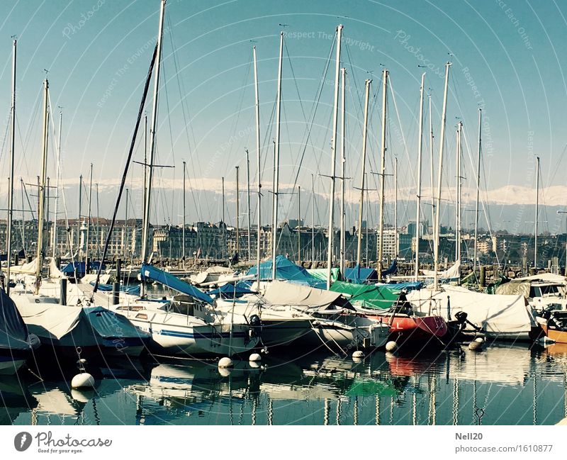 Boote am Lac Leman, Genf Wassersport Schwimmen & Baden Segeln Wolkenloser Himmel Sonne Frühling Sommer Klima Schönes Wetter Alpen Berge u. Gebirge Seeufer