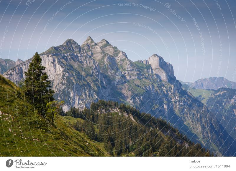 Bregenzerwald-Berge Ferien & Urlaub & Reisen Landwirtschaft Forstwirtschaft Umwelt Natur Landschaft Pflanze Himmel Wolkenloser Himmel Horizont Sonne Baum Wald