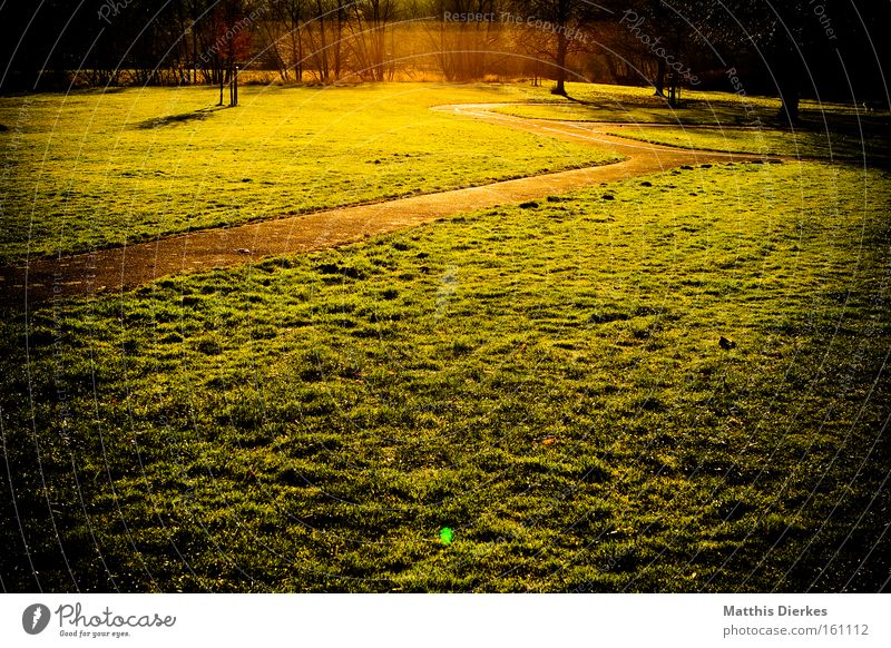 frieden Wege & Pfade Wiese grün Gras Sonne Sonnenuntergang Ende Unendlichkeit Fernweh Baum Licht gold Spaziergang Frieden Himmelskörper & Weltall vignette