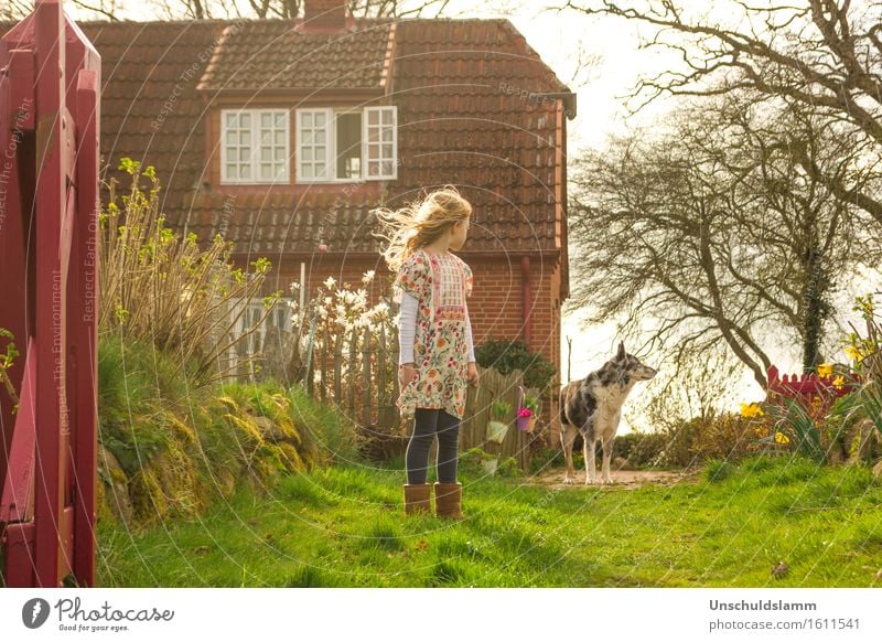 R. und der Wolf Häusliches Leben Haus Garten Kind Mädchen Kindheit 3-8 Jahre Natur Frühling Tier Hund Märchen retro Gefühle Stimmung Frühlingsgefühle Vertrauen