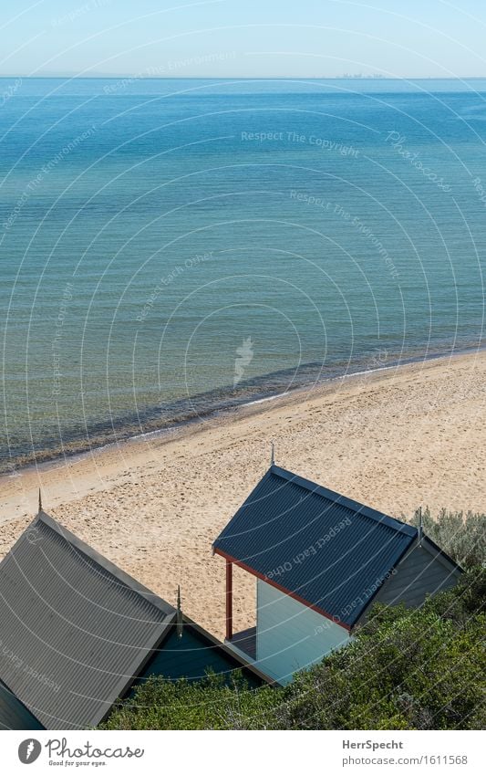 Pazifik vor der Haustür Ferien & Urlaub & Reisen Tourismus Ausflug Ferne Sommerurlaub Sonne Umwelt Natur Landschaft Himmel Wolkenloser Himmel Grünpflanze Wellen