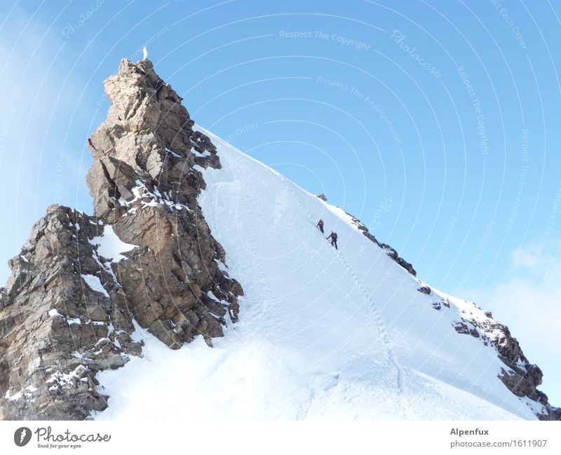 Madonna on Ice Klettern Bergsteigen Winter Schönes Wetter Eis Frost Schnee Hügel Felsen Alpen Berge u. Gebirge Schwarzhorn Monte Rosa Gipfel