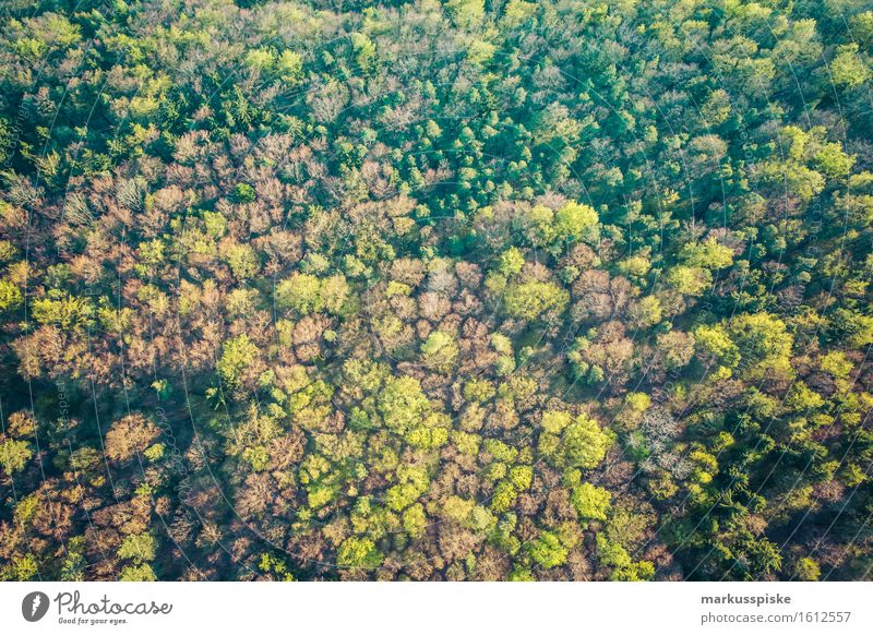 baum welten Ferien & Urlaub & Reisen Tourismus Ausflug Abenteuer Ferne Freiheit Sommer Sommerurlaub wandern Natur Landschaft Frühling Baum Grünpflanze