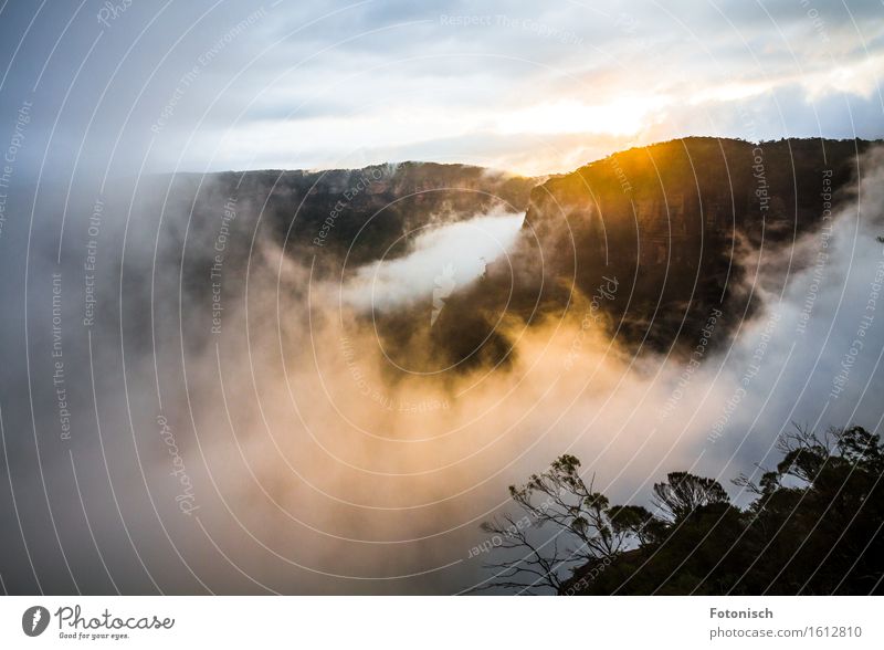 Blue Mountains Sonnenuntergang Umwelt Landschaft Wolken schlechtes Wetter Nebel Berge u. Gebirge Blue mountains Ferien & Urlaub & Reisen Tourismus dramatisch