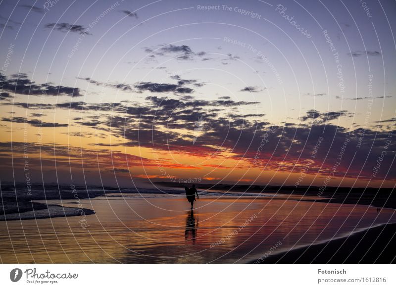 in den Sonnenuntergang gesurft Surfen Ferien & Urlaub & Reisen Tourismus Ferne Strand Meer Surfer Mensch maskulin 1 Landschaft Wasser Himmel Wolken