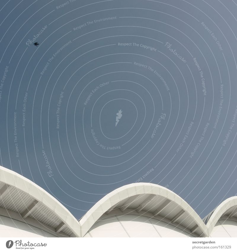 ein himmel über hamburg. Himmel Wolken Vogel weiß hell strahlend Sommer Dach Vordach gekrümmt Geschwindigkeit vergangen Architektur Gottesdienst fliegen