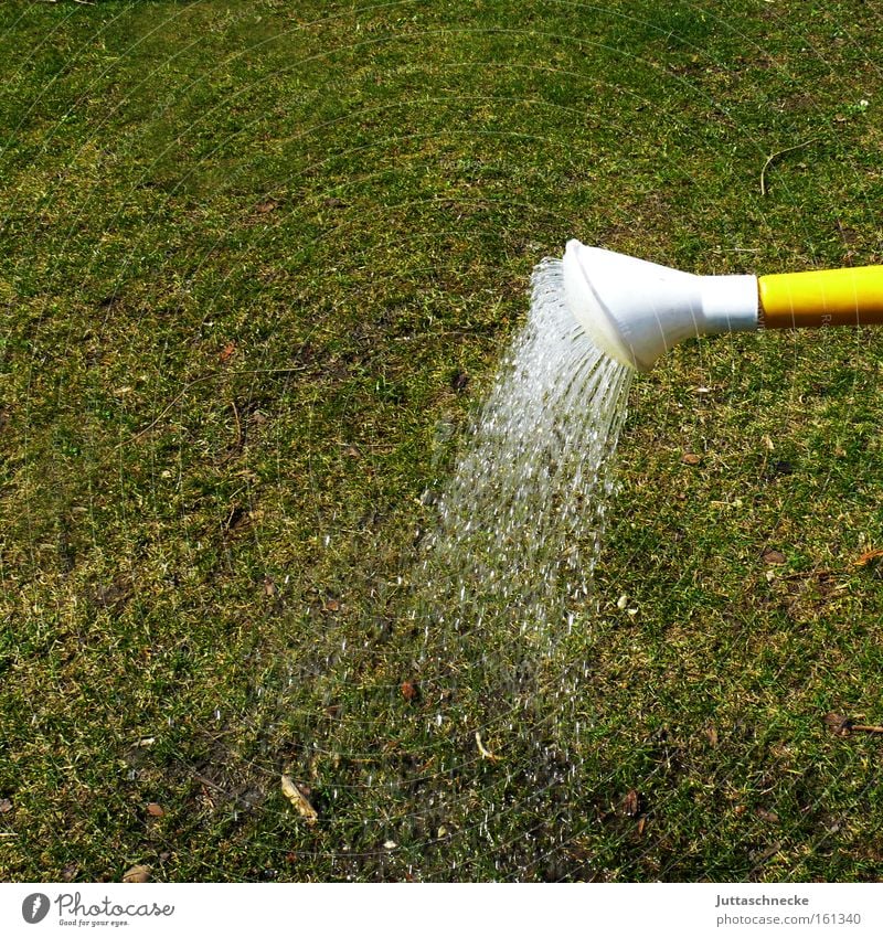 Die Gartensaison hat begonnen Kannen Gießkanne gießen Gras Rasen Dürre trocken Wasser Strahlung Gärtner grün Park Handwerk Juttaschnecke