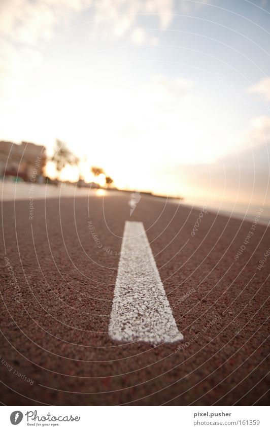 Der Weg Straße Wege & Pfade Sonne Sonnenuntergang Zeichen Mallorca Fahrradweg Verkehrswege Sign Gefühle