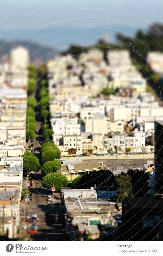 little San Francisco Stadt Aussicht Haus Straße Baum Amerika USA Kalifornien klein Spielzeug Reaktionen u. Effekte KFZ Stadtteil Verkehrswege Tilt-Shift PKW