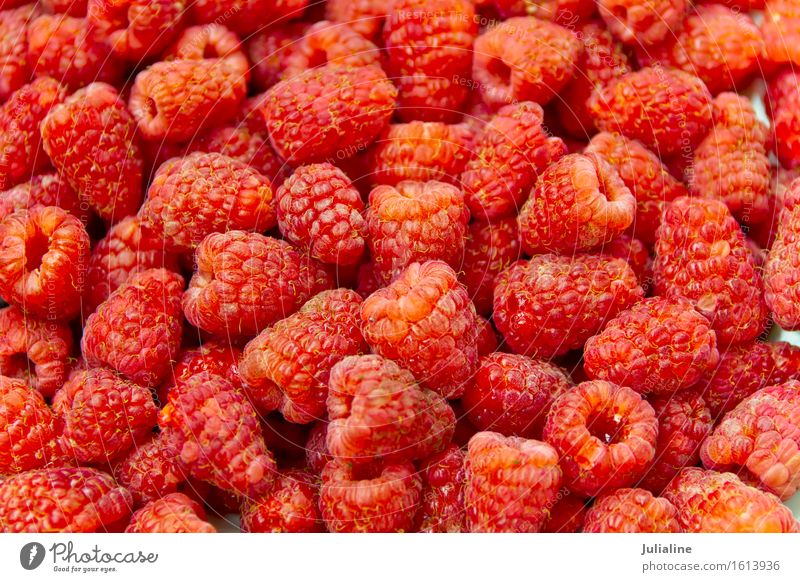 Frische rote Himbeere des Hintergrundes Vegetarische Ernährung frisch Himbeeren süß Beeren Lebensmittel Gesundheit roh organisch Gartenmaterial Farbfoto