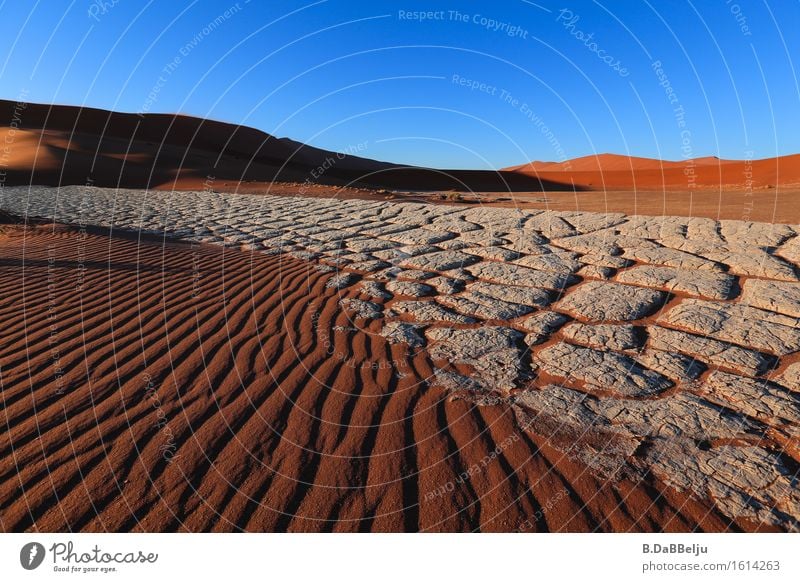 Wüstenmorgen Ferien & Urlaub & Reisen Ausflug Abenteuer Ferne Freiheit Expedition Sommer Sommerurlaub Sonne Natur Landschaft Erde Sand Horizont Wärme Dürre rot