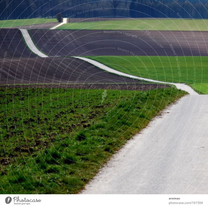 Auf und ab Straße Wege & Pfade Asphalt Landwirtschaft Feld Hügel Wellen Kurve Landschaft Frühling Verkehr Verkehrswege