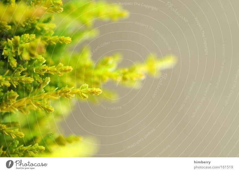 triebwerk Farbfoto mehrfarbig Nahaufnahme Detailaufnahme Makroaufnahme Menschenleer Textfreiraum rechts Textfreiraum oben Textfreiraum unten Hintergrund neutral