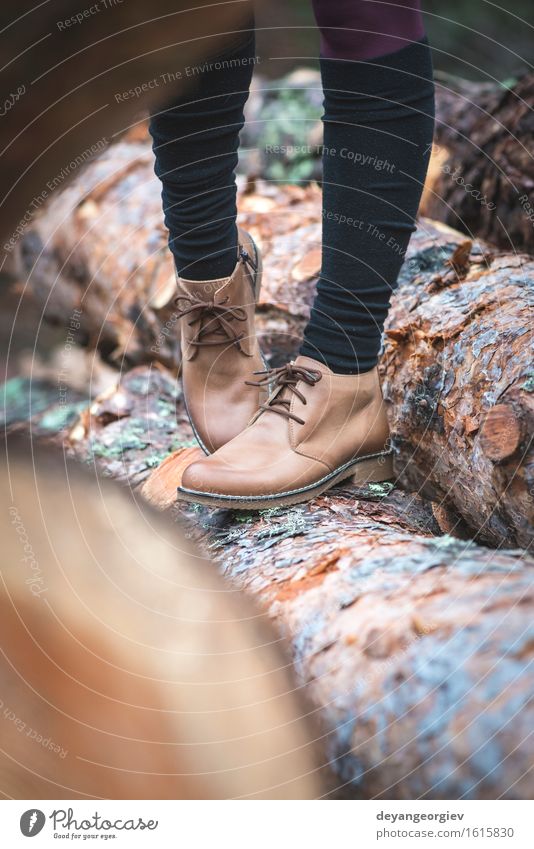 Freizeitschuhe der Frauen lederne auf Holz im Wald Stil Sommer Erwachsene Fuß Mode Leder Schuhe modern braun Hintergrund lässig Paar anhaben Aussicht Spitze