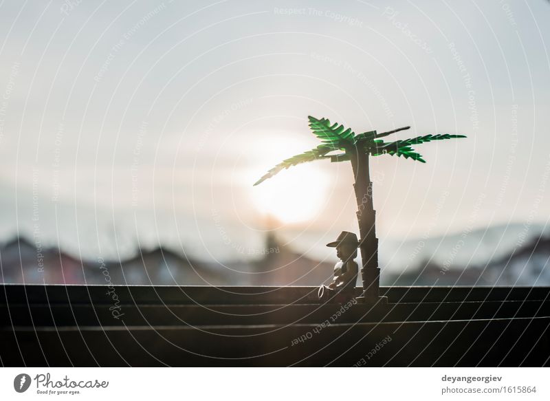 Zahlen der Palme und des Mannes auf Sonnenuntergang schön Ferien & Urlaub & Reisen Klettern Bergsteigen Erwachsene Natur Landschaft Pflanze Himmel Wolken Baum