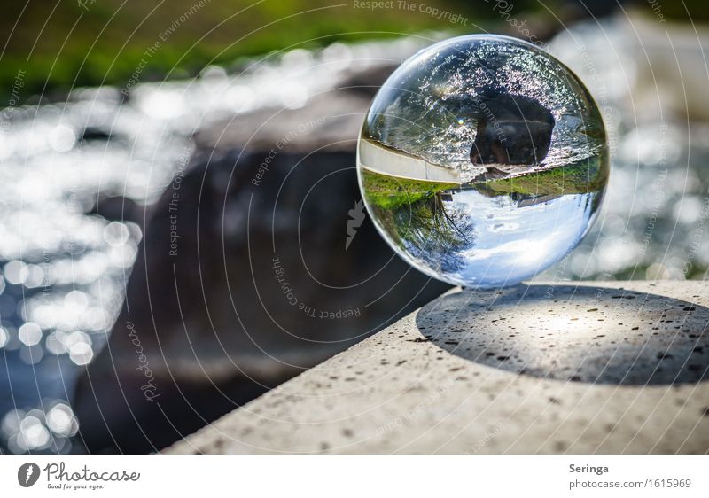 Durchblick Landschaft Wasser Frühling Sommer Flussufer Glas glänzend Blick Uecker Torgelow Farbfoto mehrfarbig Außenaufnahme Detailaufnahme Menschenleer