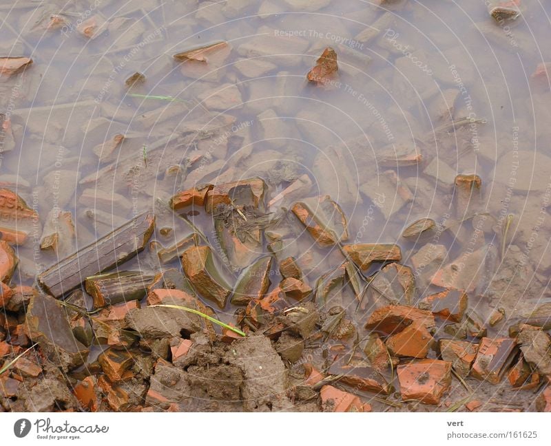 Ton_Wasser_Scherben Pfütze Erde Feld Backstein gebrochen braun Herbst November Schlamm Menschenleer Regen Hintergrundbild ruhig trist Stein Mineralien