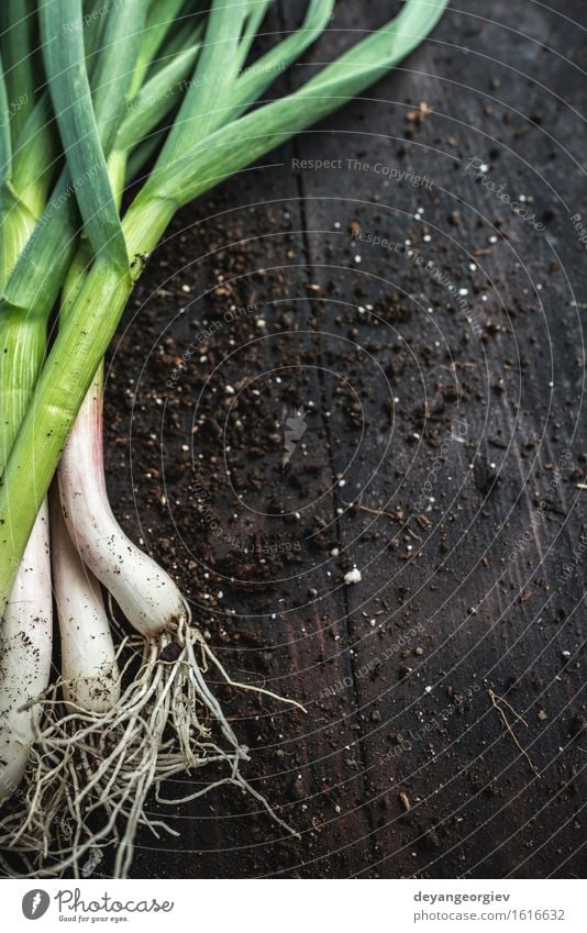 Frischer grüner Knoblauch auf dunklem Holztisch Gemüse Kräuter & Gewürze Essen Vegetarische Ernährung Natur Blatt frisch Frühling organisch Porree roh Geruch