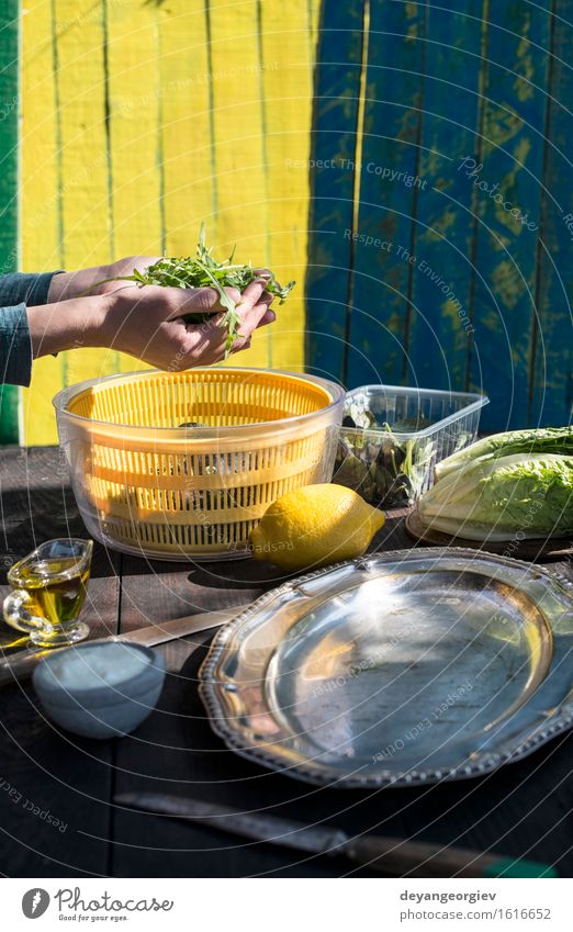 Salat des natürlichen Lichtes des Arugula vorbereiten Gemüse Ernährung Abendessen Vegetarische Ernährung Diät Teller Natur Blatt Holz frisch lecker grün