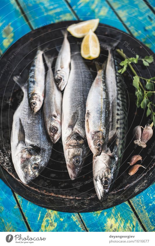 Roher Fisch. Dorade, Wolfsbarsch, Makrele und Sardinen Meeresfrüchte Mittagessen Pfanne Koch frisch blau schwarz Zitrone roh Fett Zutaten Mahlzeit Speise