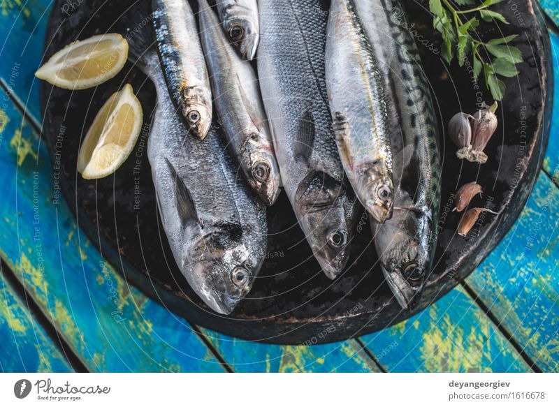 Roher Fisch. Dorade, Wolfsbarsch, Makrele und Sardinen Meeresfrüchte Mittagessen Pfanne Koch frisch blau schwarz Zitrone roh Fett Zutaten Mahlzeit Speise