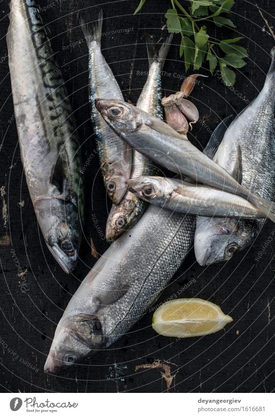 Roher Fisch. Seebrassen, Wolfsbarsch Meeresfrüchte Mittagessen Pfanne Koch frisch blau schwarz Zitrone roh Fett Makrele Zutaten Sardinen Mahlzeit Speise